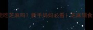 十个月宝宝能吃芝麻吗新手妈妈必看芝麻辅食添加全攻略