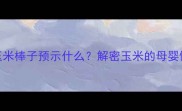 孕妇梦见带皮玉米棒子预示什么解密玉米的母婴健康寓意与科学