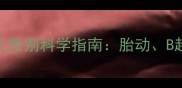 孕期1-3个月判断胎儿性别科学指南胎动B超特征与母体反应全