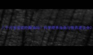八个月宝宝能吃酥油吗科学喂养指南与营养建议全