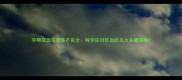 孕期贫血与营养不良全科学应对贫血的五大关键策略