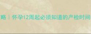 孕期检查全攻略怀孕12周起必须知道的产检时间表和注意事项