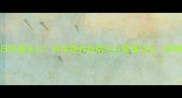 2个月宝宝每日奶量多少科学喂养指南与注意事项全附喂养时间表