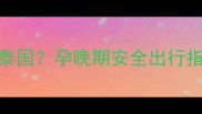 孕妇多少周被禁止入境泰国孕晚期安全出行指南与泰国签证政策解读
