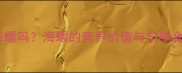 孕期初期能吃海螺吗海螺的营养价值与孕期食用的安全指南