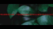 孕期血糖管理全攻略产后恢复黄金期必看的饭后血糖参考值及应对技巧