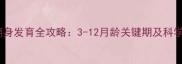 早产宝宝翻身发育全攻略3-12月龄关键期及科学引导方法