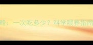 8个月宝宝米粉喂养全攻略一次吃多少科学喂养指南附冲泡分餐过敏应对
