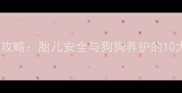 孕妇养狗全攻略胎儿安全与狗狗养护的10大注意事项