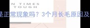 孕期肚皮长毛是正常现象吗3个月长毛原因及科学应对指南