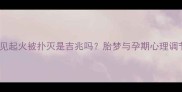 孕妇梦见起火被扑灭是吉兆吗胎梦与孕期心理调节指南