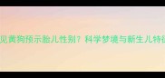 孕妇梦见黄狗预示胎儿性别科学梦境与新生儿特征关联