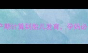 怀孕周期全从预产期计算到胎儿发育孕妈必知的36周关键信息