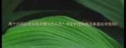 两个月阿拉斯加幼犬腹泻怎么办专业护理指南及家庭应对措施