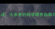 婴儿辅食添加必读大米粥的科学喂养指南与营养搭配技巧