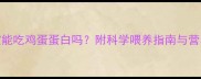九个月宝宝能吃鸡蛋蛋白吗附科学喂养指南与营养搭配秘籍