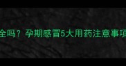 孕妇感冒喝维C泡腾片安全吗孕期感冒5大用药注意事项及替代方案附食谱