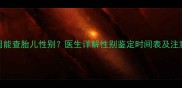 B超几周能查胎儿性别医生详解性别鉴定时间表及注意事项