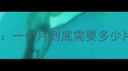 新生儿纸尿裤消耗量全攻略一个月到底需要多少片附详细清单与避坑指南