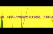 0-3岁婴儿护眼指南科学认识眼睛发育关键期光照与保护如何平衡