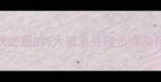 小孩发烧呕吐怎么办家长必看的5大紧急处理步骤和预防措施附症状对照表