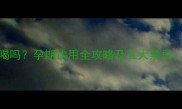 金盏菊孕妇可以喝吗孕期饮用全攻略及五大禁忌医生建议收藏