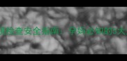 孕期阴道镜检查安全指南孕妈必知的5大注意事项