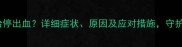孕五个月胎停出血详细症状原因及应对措施守护母婴健康