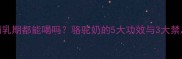 孕期哺乳期都能喝吗骆驼奶的5大功效与3大禁忌全