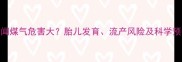 孕妇长期闻煤气危害大胎儿发育流产风险及科学预防措施全