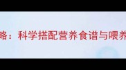 8-9个月宝宝辅食添加全攻略科学搭配营养食谱与喂养要点附一周详细菜单