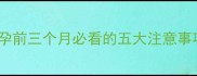 孕早期关键期怀孕前三个月必看的五大注意事项附权威指南