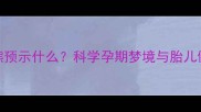 孕妇梦见熊预示什么科学孕期梦境与胎儿健康的关系
