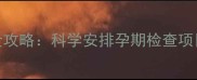 孕妇必看产检全攻略科学安排孕期检查项目守护母婴健康