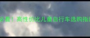 0-12岁宝妈必看高性价比儿童自行车选购指南