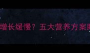 孕8个月体重增长缓慢五大营养方案助力健康发育