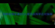 孕期尿频尿痛的5大原因及科学应对指南