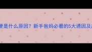 婴儿泡泡便是什么原因新手爸妈必看的5大诱因及应对指南