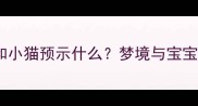 孕妇梦见母猫和小猫预示什么梦境与宝宝健康发育指南