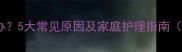 宝宝持续呕吐怎么办5大常见原因及家庭护理指南附儿科医生建议