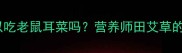 孕期必看孕妇可以吃老鼠耳菜吗营养师田艾草的3大好处和2个禁忌