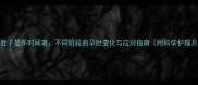 孕期肚子显怀时间表不同阶段的孕肚变化与应对指南附科学护理方案