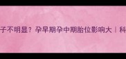 孕六个月肚子不明显孕早期孕中期胎位影响大科学备孕指南