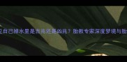孕妇梦见自己掉水里是吉兆还是凶兆胎教专家深度梦境与胎儿健康