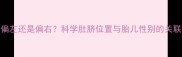 孕期肚脐偏左还是偏右科学肚脐位置与胎儿性别的关联性及误区