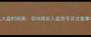 胎儿入盆时间表孕28周后入盆信号及注意事项全