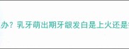 三个月宝宝牙龈发白怎么办乳牙萌出期牙龈发白是上火还是疾病家长必看护理指南