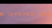24个月宝宝牙齿全攻略2岁半乳牙数量护理误区及换牙期注意事项