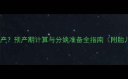 怀孕几个月能顺产预产期计算与分娩准备全指南附胎儿发育时间表