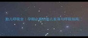 胎儿呼吸全孕期必看的胎儿发育与呼吸指南